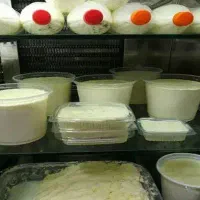 نیروکارخانم لبنیاتی