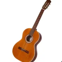 گیتار پارسی p40