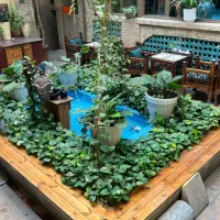 امیرآباد شمالی ۱۶۰ متر کلنگی