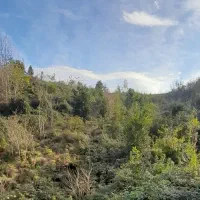 فروش زمین ۴۰۰۰هزار متری داخل طرح ۴۴متر بر اسفالت