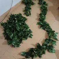 ریسه مدل برگ