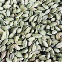 زعفران ۱۰۰٪ اصل از خود کشاورز|عمده‌فروشی|گناباد, |دیوار