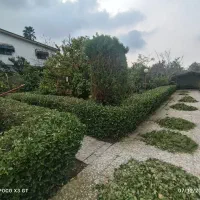 ویلا-در-شهرک-ساحلی-1150-متر-محمودآباد