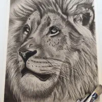 فروش تابلو سیاه قلم