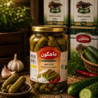 خیارشور حلب ماهگون همدان