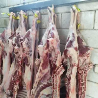 گوسفندی تازه تنظیم بازار 999000تومان