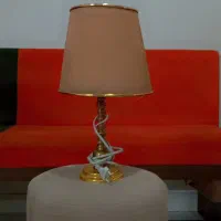 دو تا آباژور سالم باهم 800