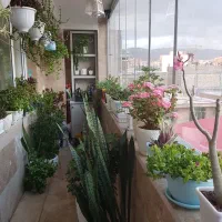 واحد ۱۵۷ متری خوش نقشه، سند تک برگ، بر خیابان اصلی|فروش آپارتمان|هشتگرد, هشتگرد قدیم|دیوار