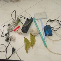 وسایل اکواریوم|ماهی|گلبهار, شهر جدید گلبهار|دیوار