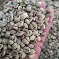 فروش عمده تناژ بالا انواع دان سبز قهوه سوپر