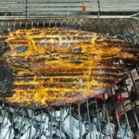 آشپز  صبحانه  خوری