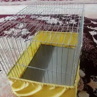 قفس درحد نو|لوازم جانبی حیوانات|پاکدشت, خاتون آباد|دیوار