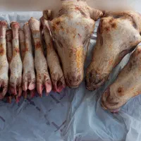 پاک کردن کله پاچه|خوردنی و آشامیدنی|خرم‌آباد, |دیوار