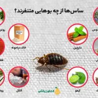 سمپاشی ساس،سوسک و...با ضمانت کتبی|خدمات نظافت|کرج, مصباح|دیوار