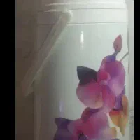 فلاسک فیل نشان