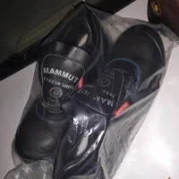 کفش ایمنی|کیف، کفش، کمربند|بندر کنگان, |دیوار