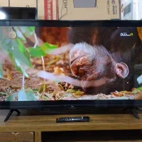 ال ای دی ۴۳ اینچ TCL استوک نمایشگاهی