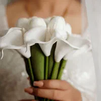 فیلمبرداری و عکاسی از مراسم عقد.عروسی.تولد|خدمات پذیرایی، مراسم|تبریز, |دیوار