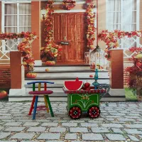 پرده|دوربین عکاسی و فیلمبرداری|تبریز, |دیوار