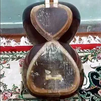 تارحرفه ای مهردار|سازهای سنتی|تهران, فردوس|دیوار