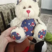 عروسک های پولیشی