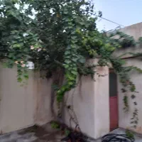 اجاره روزانه/هفتگی/ماهانه آپارتمان ۱۵۰ متری|اجارهٔ کوتاه‌مدت آپارتمان و سوئیت|بجنورد, |دیوار