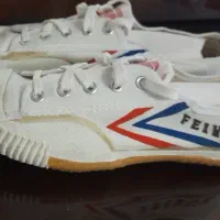 کتونی اصل چینی،نوستالژی
