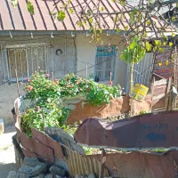 همسفر خانم میخوام ..خودمم خانمم