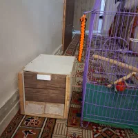 قفس سالم برای پرنده|لوازم جانبی حیوانات|تهران, دستغیب|دیوار