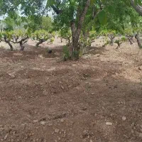 فروش چاه کشاورزی