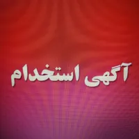 کارآموز سئو و طراحی سایت در شرکت کامپیوتری