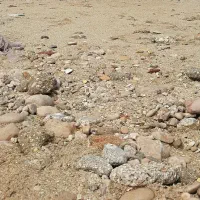 زمین  تجاری مسکونی