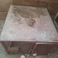 قفس واسه کبوتر