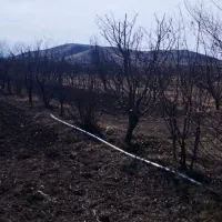 باغ سیب|فروش زمین و ملک کلنگی|میاندوآب, |دیوار