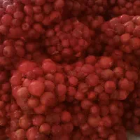 اب انار به صورت عمده و خرده|خوردنی و آشامیدنی|قم, قلعه کامکار|دیوار