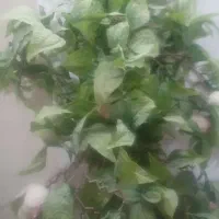 لوازم‌بازی