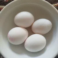 نظر گرفتن