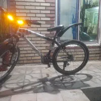 دوچرخه حرفه ای