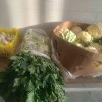 فروشنده سبزی