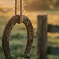 نعل اسب فلزی