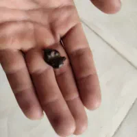 شهاب سنگ