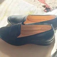 چهار جفت کفش کاملا نو|کیف، کفش، کمربند|پرند, فاز ۵|دیوار