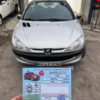 ۸۷ نقره ای سالم