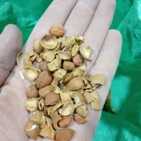 دستگاه والس جو پرک دامی|خردکن، آسیاب، غذاساز|تویسرکان, |دیوار