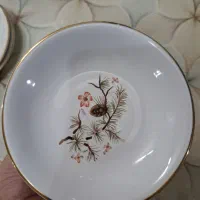 ۱۰ عدد نعلبکی