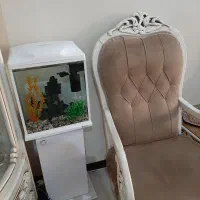 آکواریوم شیک و جم و جور|ماهی|تهران, گلستان (شهرک راه آهن)|دیوار