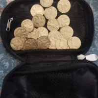 سکه طرح ساسانی|صنایع دستی و سایر لوازم تزئینی|تهران, تهران‌نو|دیوار