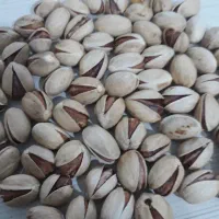 خریدارانواع پسته خشک