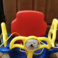 اسباب بازی کودک|اسباب و اثاث بچه|اهر, |دیوار