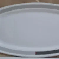 دیس چینی زرین|ظروف سرو و پذیرایی|اسدآباد, |دیوار